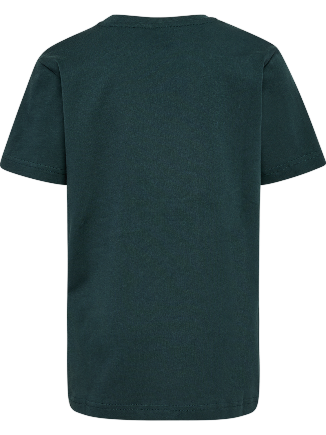 hmlPRINT T-SHIRT S/S, GREEN GABLES, packshot