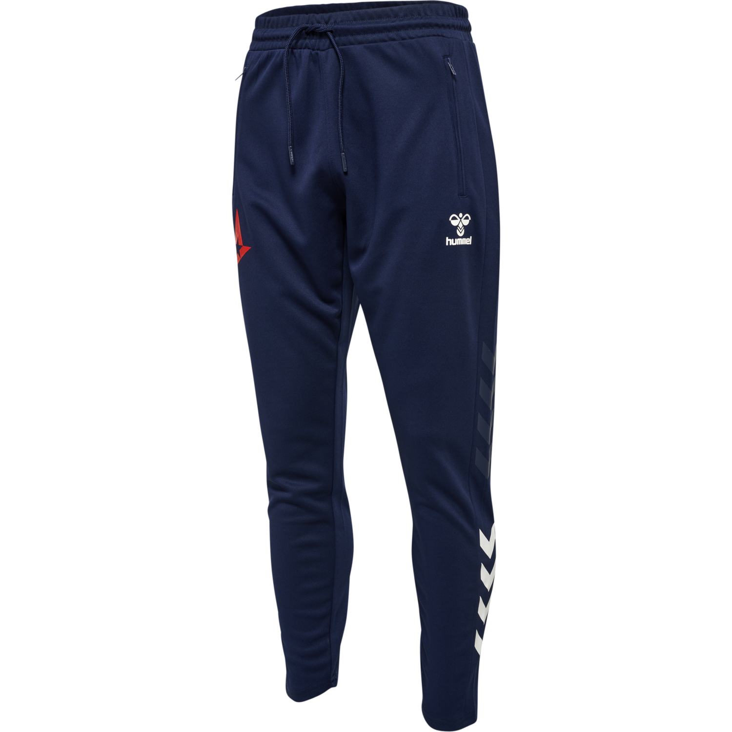 ASTRALIS 21/22 LEGACY POLY PANTS, 7026, packshot