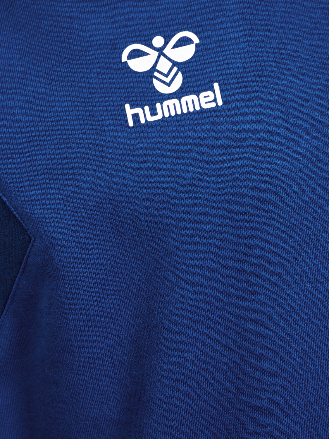 hmlAUTHENTIC CO TRAINING SWEAT, TRUE BLUE, packshot