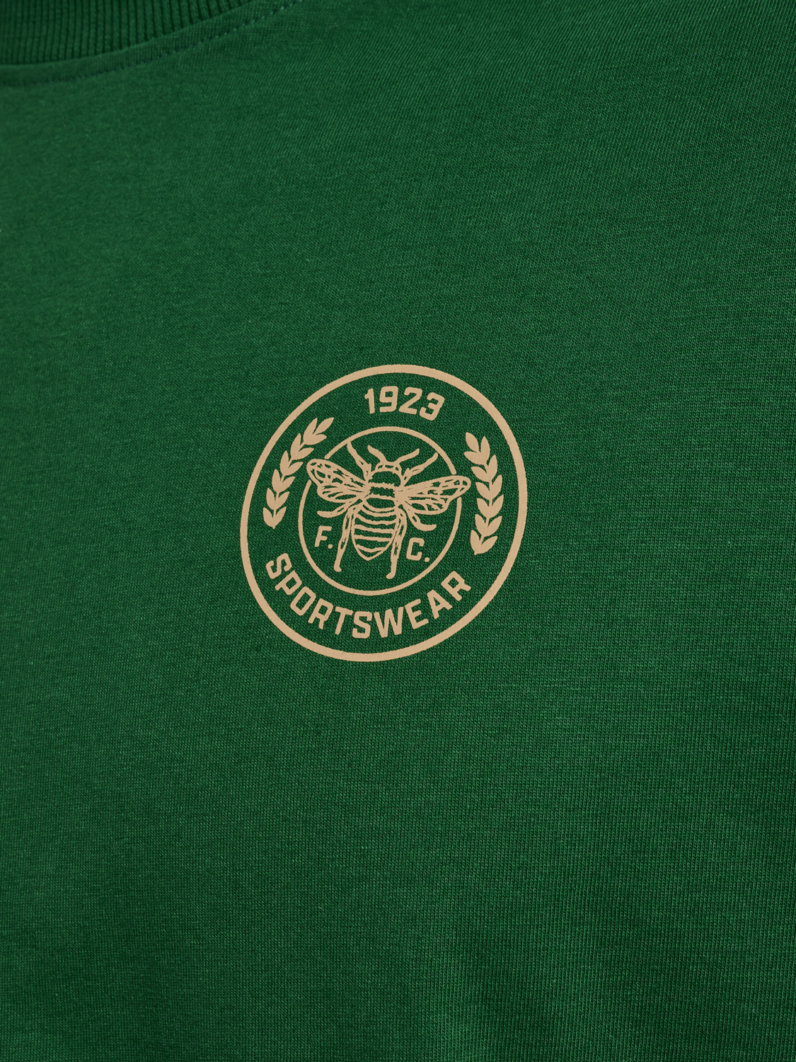 hmlSWARM LOOSE T-SHIRT, EDEN, packshot