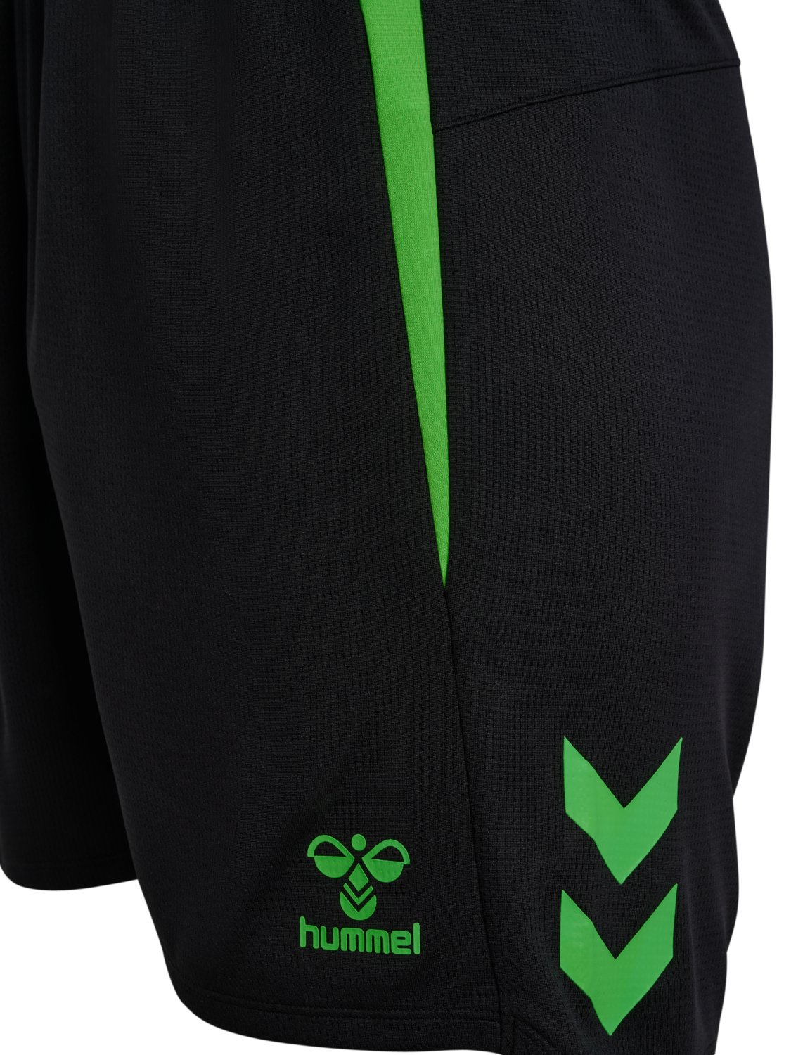 hmlLEAD 2.0 SHORTS, BLACK/GREEN GECKO, packshot