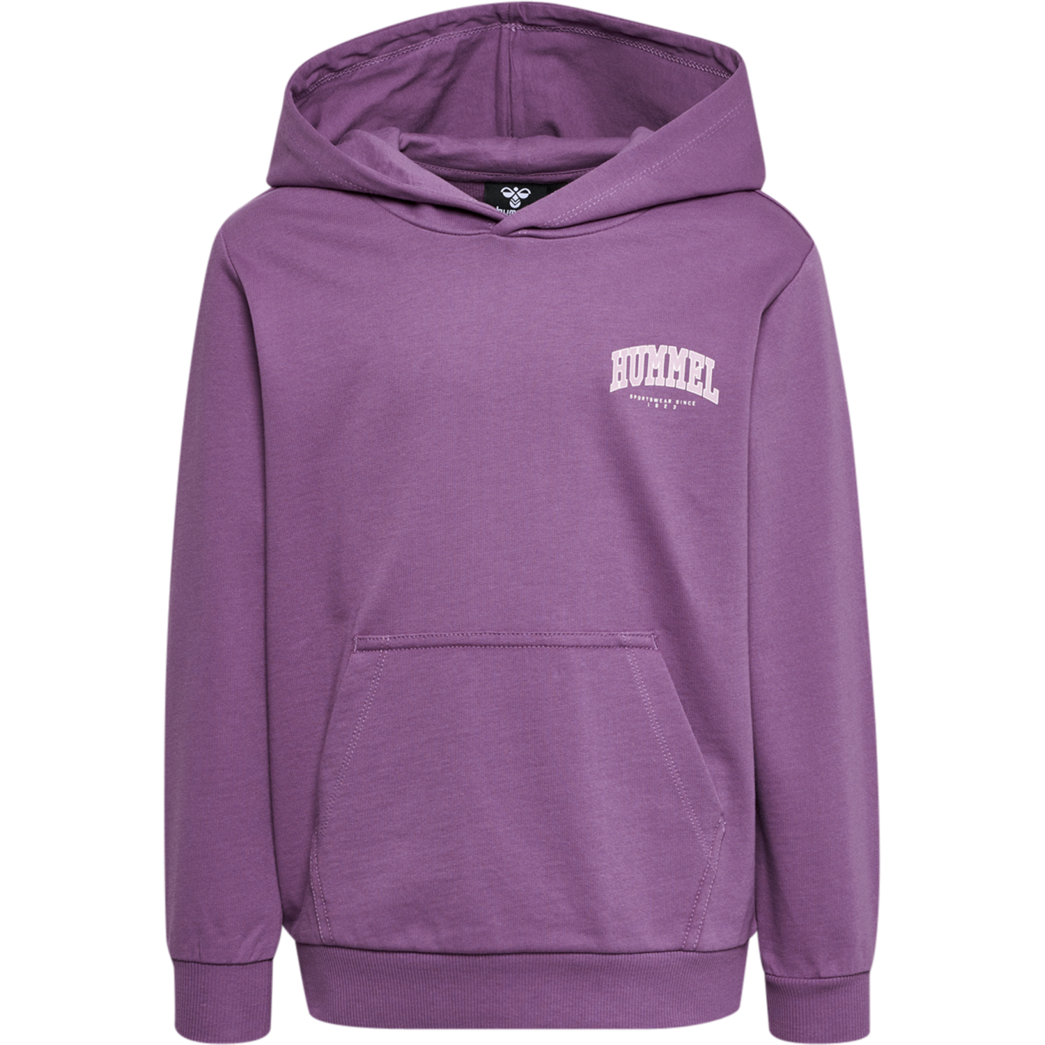 hmlFAST HOODIE, ARGYLE PURPLE, packshot