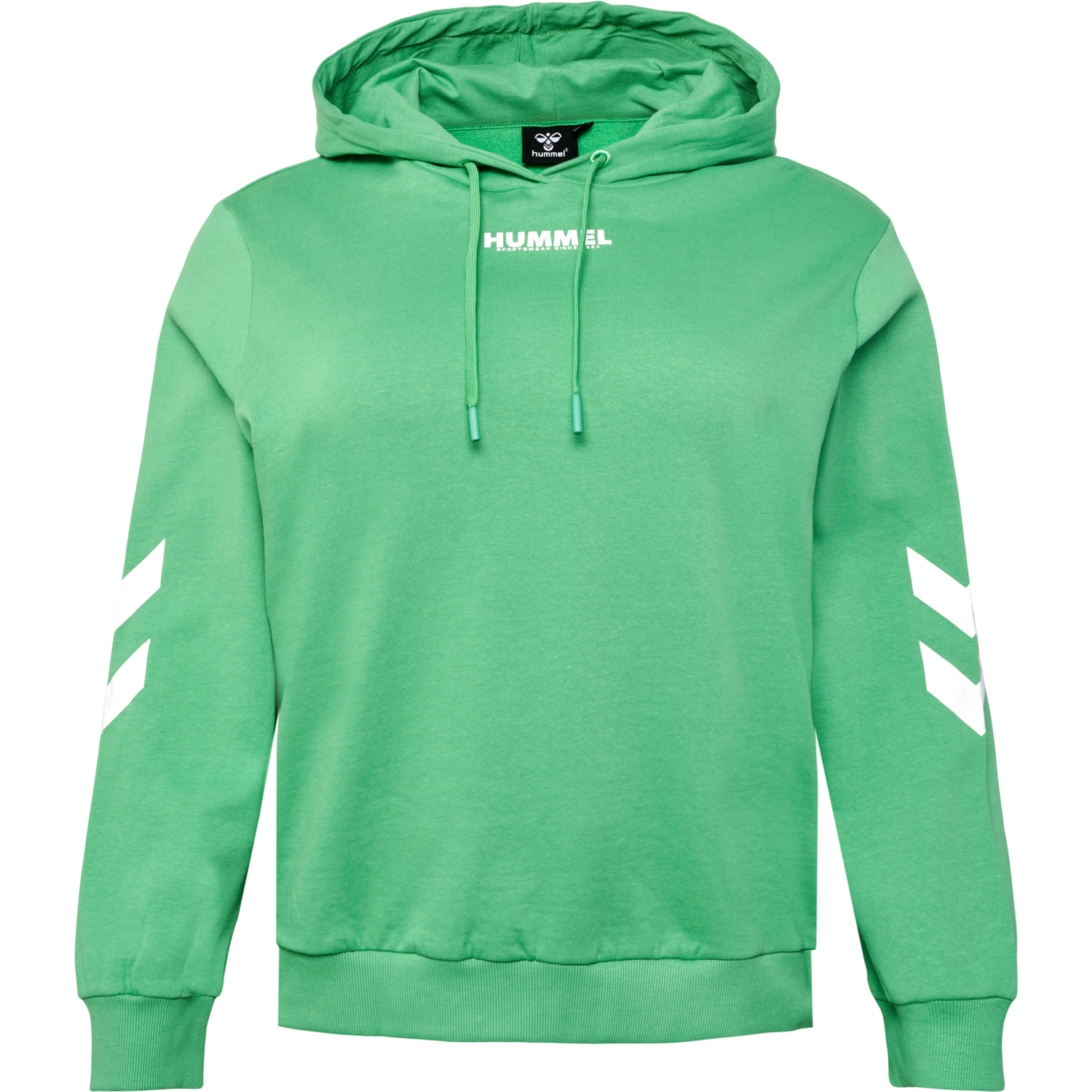 hmlLEGACY WOMAN HOODIE PLUS, GREEN SPRUCE, packshot