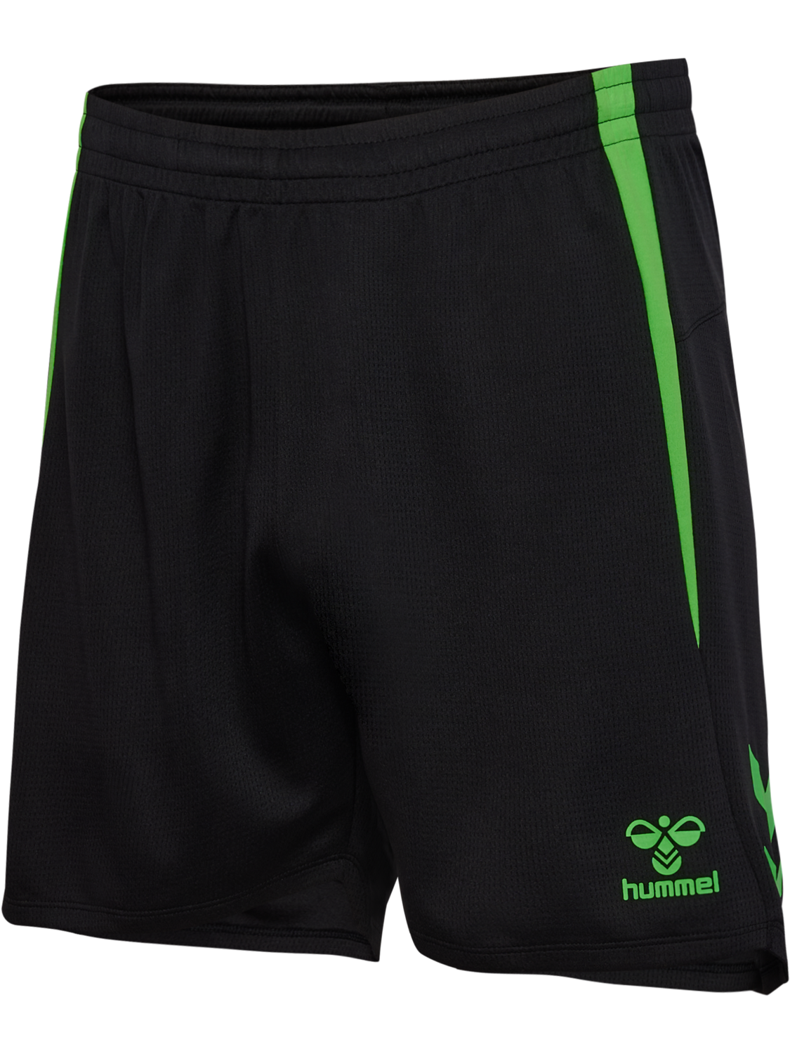 hmlLEAD 2.0 SHORTS, BLACK/GREEN GECKO, packshot